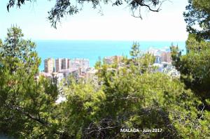 017- Malaga vue du Gibralfaro
